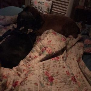 Meet your Posher, Tammy